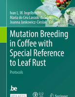Evaluation of Coffee (Coffea arabica L. var. Catuaí) Tolerance to Leaf Rust (Hemileia vastatrix) Using Inoculation of Leaf Discs Under Controlled Conditions